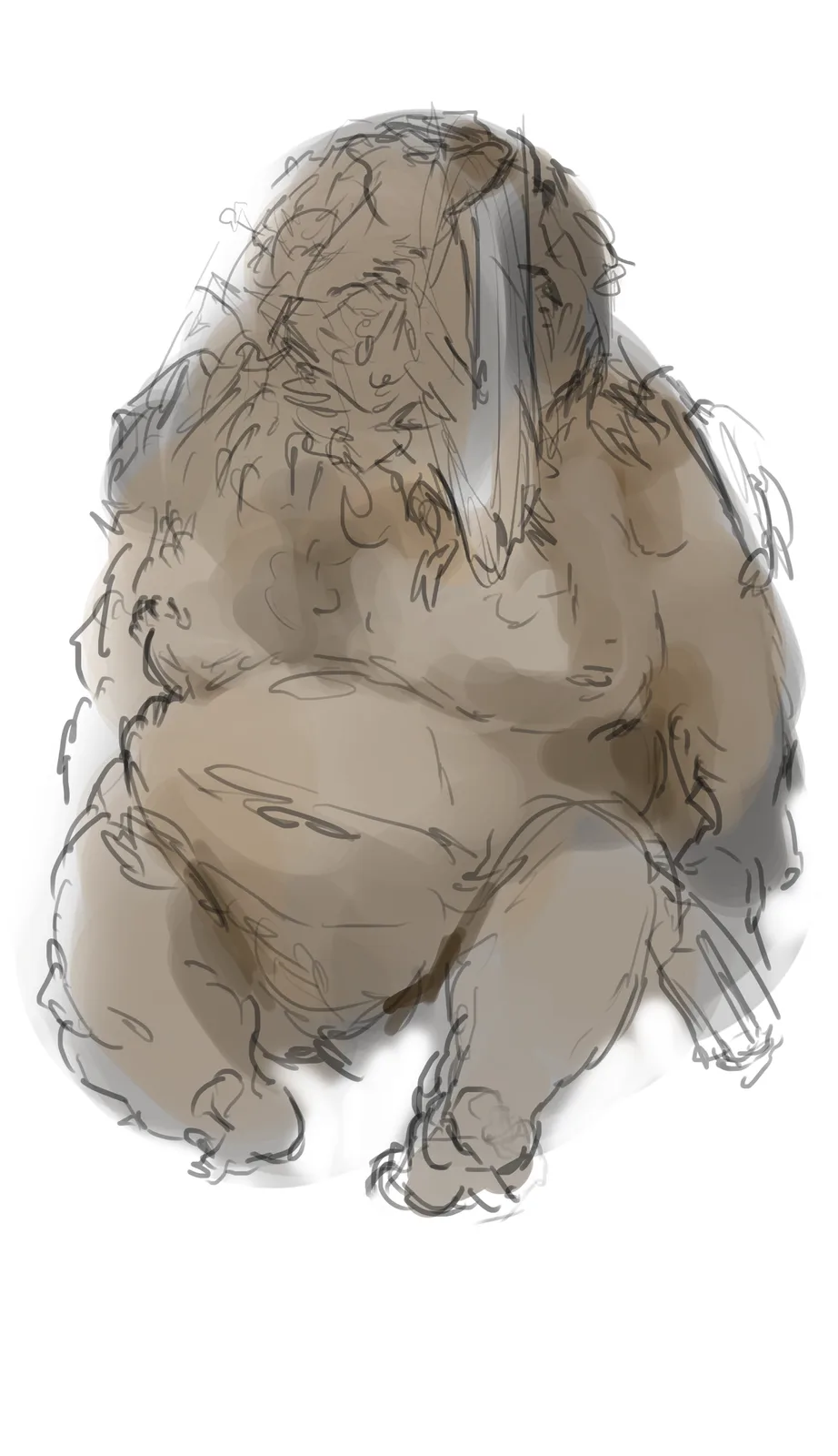 B1